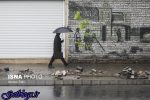 رعد و برق در جنوب کشور ، رگبار باران در شمال